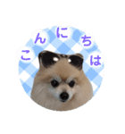 しょう♡なっち（個別スタンプ：2）