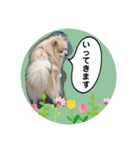 しょう♡なっち（個別スタンプ：5）