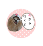 しょう♡なっち（個別スタンプ：7）