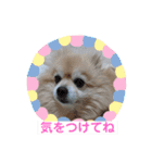 しょう♡なっち（個別スタンプ：9）