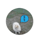 しょう♡なっち（個別スタンプ：10）