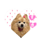 しょう♡なっち（個別スタンプ：11）
