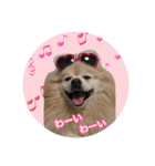 しょう♡なっち（個別スタンプ：12）