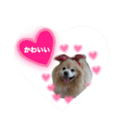 しょう♡なっち（個別スタンプ：13）