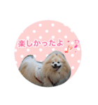 しょう♡なっち（個別スタンプ：15）