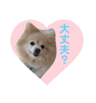 しょう♡なっち（個別スタンプ：17）