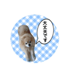 しょう♡なっち（個別スタンプ：18）