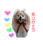 しょう♡なっち（個別スタンプ：20）