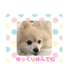 しょう♡なっち（個別スタンプ：21）