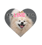 しょう♡なっち（個別スタンプ：23）