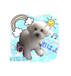 みよん家のわんこ＆にゃんこ 日常会話（個別スタンプ：1）