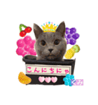 みよん家のわんこ＆にゃんこ 日常会話（個別スタンプ：2）