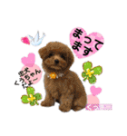 みよん家のわんこ＆にゃんこ 日常会話（個別スタンプ：8）
