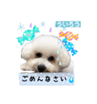 みよん家のわんこ＆にゃんこ 日常会話（個別スタンプ：22）