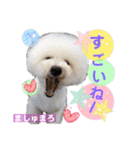 みよん家のわんこ＆にゃんこ 日常会話（個別スタンプ：23）