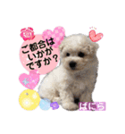 みよん家のわんこ＆にゃんこ 日常会話（個別スタンプ：27）