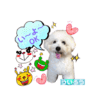 みよん家のわんこ＆にゃんこ 日常会話（個別スタンプ：32）