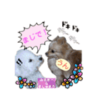 みよん家のわんこ＆にゃんこ 日常会話（個別スタンプ：33）