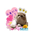 みよん家のわんこ＆にゃんこ 日常会話（個別スタンプ：36）