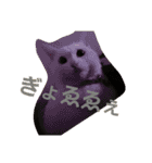 ねこねこエブリディ2（個別スタンプ：3）