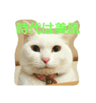ねこねこエブリディ2（個別スタンプ：11）