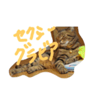 ねこねこエブリディ2（個別スタンプ：14）