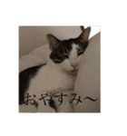 ちーずくん2（個別スタンプ：4）