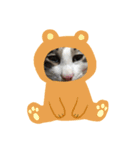 ちーずくん2（個別スタンプ：15）