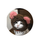 ちーずくん2（個別スタンプ：23）