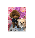 クー＆ミーオリジナルスタンプ（個別スタンプ：2）