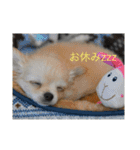 クー＆ミーオリジナルスタンプ（個別スタンプ：4）