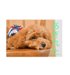 クー＆ミーオリジナルスタンプ（個別スタンプ：7）