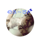 うちの子っち（個別スタンプ：2）