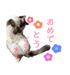 うちの子っち（個別スタンプ：4）