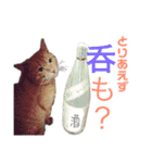 うちの子っち（個別スタンプ：18）