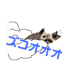 うちの子っち（個別スタンプ：19）