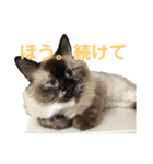 うちの子っち（個別スタンプ：25）