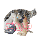 うちの子っち（個別スタンプ：32）