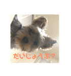 ぺろスタンプ2（個別スタンプ：6）