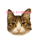 マイクロ（個別スタンプ：1）