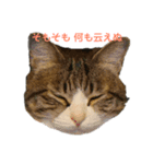 マイクロ（個別スタンプ：2）