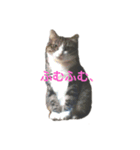 マイクロ（個別スタンプ：5）