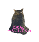 マイクロ（個別スタンプ：8）