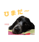 みんな仲良しインギーズだよ全員集合 vol.2（個別スタンプ：5）
