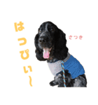 みんな仲良しインギーズだよ全員集合 vol.2（個別スタンプ：9）
