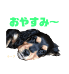 みんな仲良しインギーズだよ全員集合 vol.2（個別スタンプ：16）