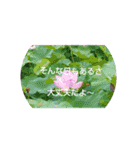 よく2かうワード（個別スタンプ：29）