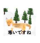優しい気持ちを伝える動物たち（個別スタンプ：21）