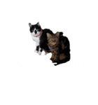 ゆうとのスタンプ2！（個別スタンプ：14）