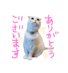 ティアラのスタンプ2（個別スタンプ：3）